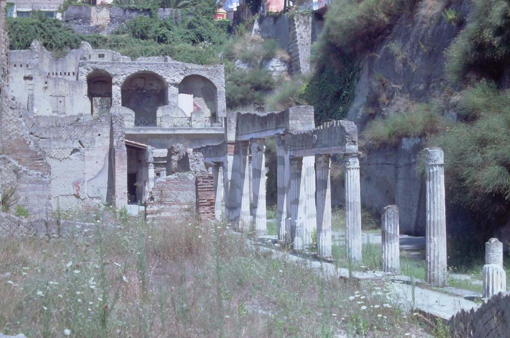Ins. Orientalis II.4, Herculaneum, 7th August 1976. Looking north across large terraced area from east end of large entrance hall.
Photo courtesy of Rick Bauer, from Dr George Fay’s slides collection.